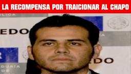 LA RECOMPENSA DEL HIJO DEL MAYO POR TRAICIONAR AL CHAPO