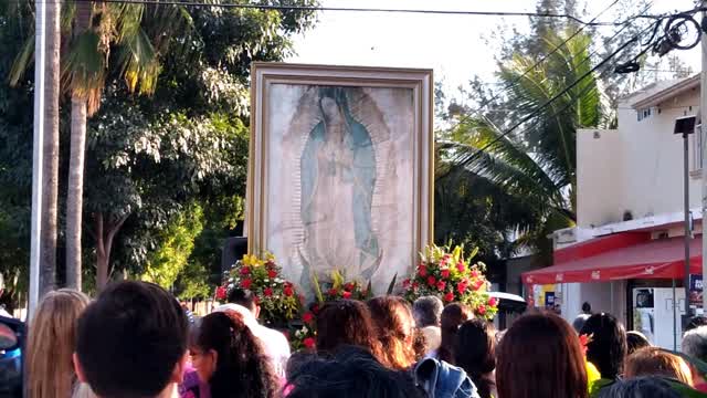 Recorrido de la procesión de Nuestra Señora de Guadalupe en Mazatlán, 12 de diciembre de 2024 04