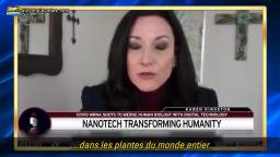 Karen Kingston - les nanotechnologies endommagent le système nerveux et provoquent la stérilité