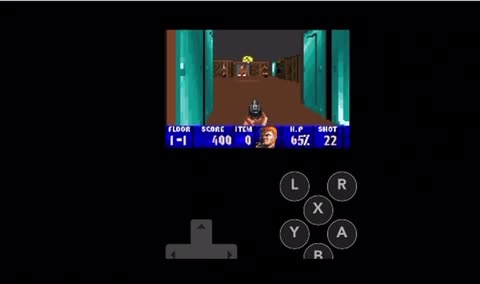 Retrogame Wolfenstein 3D Test