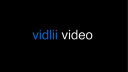 vidlii video (recreation of bill wurtz "youtube video")