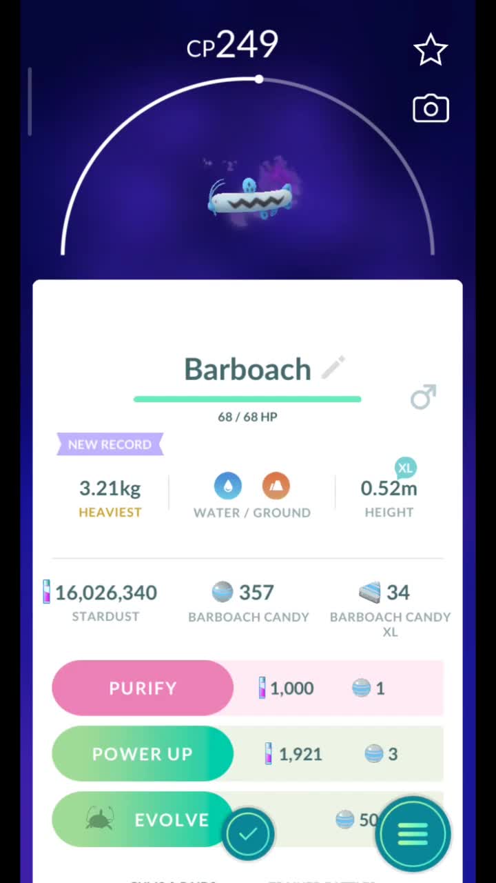 Pokémon GO-Purifying Shadow Barboach