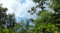 Time Lapse Of Clouds Erupting Into Earths Atmosphere!  - Navarre Florida