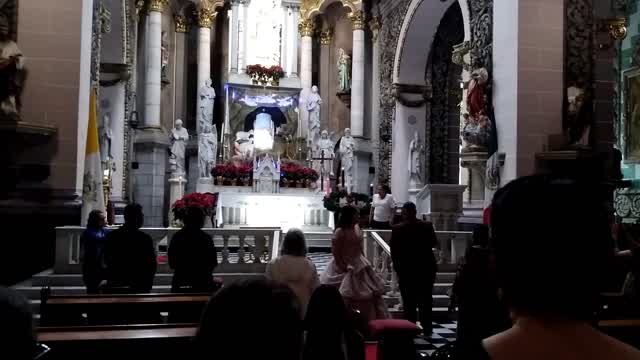 Interior de la Catedral Basílica de la Inmaculad03