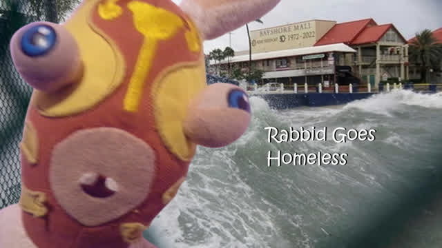 RABBID GOES HOMELESS