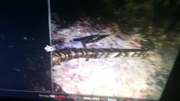 Skyrim RahGot Mask and Dragon Priest Staff