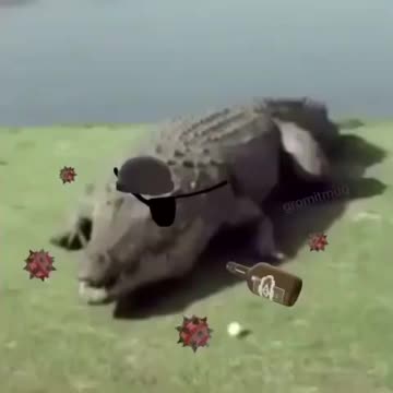 Demoman crocodile explodes and fucking dies