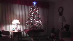 MY GRANDMA AND GRANDPA'S CHRISTMAS TREE