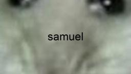 samuel