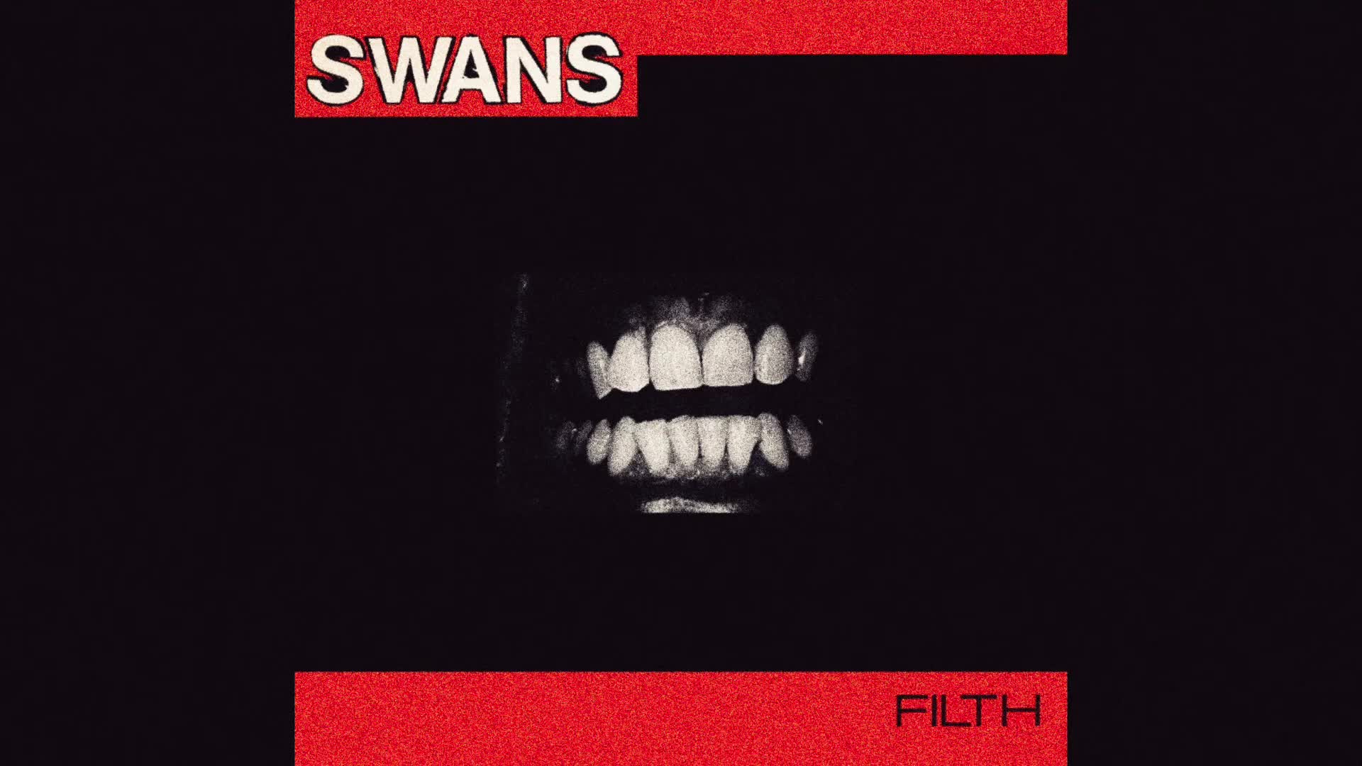 Swans - Stay Here