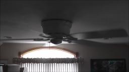 Ceiling Fan