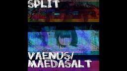 maedasalt - wrath of loli