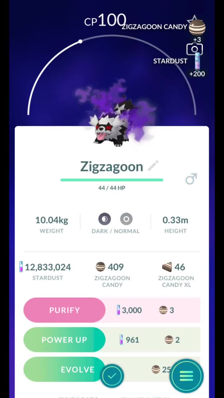 Pokémon GO-Shadow Galarian Zigzagoon