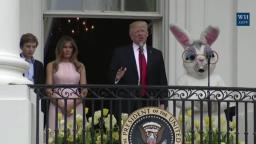 TRUMP & EASTER BUNNY