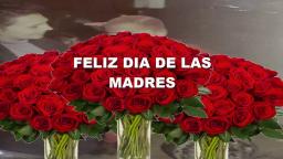 FELIIZ DIA DE LAS MADRES 2021, ¿'TU MERECES SER FELICITADA¿ , #GOLDACELERIUX