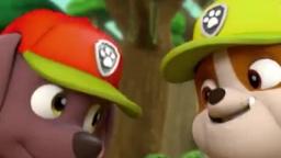 The pups dig up treasure - PAW Patrol - Nick Jr