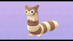 Furret going nyah.