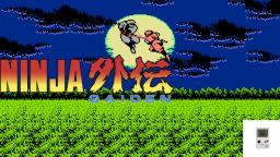 Ninja Gaiden (NES) -Bloxed