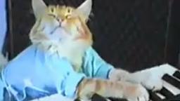 Charlie Schmidt's Keyboard Cat! - THE ORIGINAL! - REUPLOADED