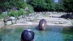 World's Biggest Fart - The Hippo