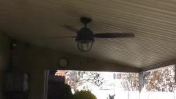 OUTDOOR CEILING FAN