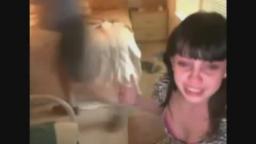 girl's twitch stream INVADED by trolls