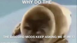 discord mods