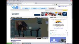 Vidlii working on Windows XP