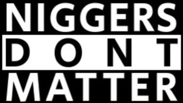 Niggers Don’t Matter