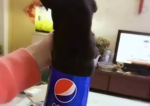 Perritos+soda