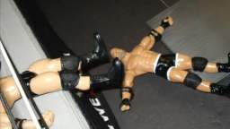 WAFF Royal Rumble PPV Figure Fed