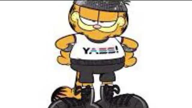 top 5 garfield cool