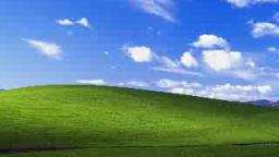 windows xp