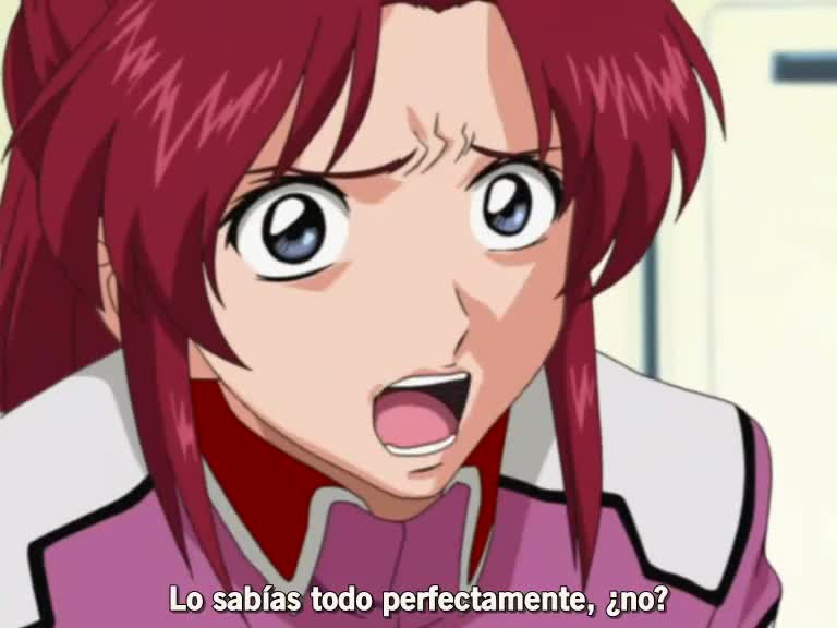 Mobile Suit Gundam SEED | episode 33 | Esp sub. (nanikanofansub)