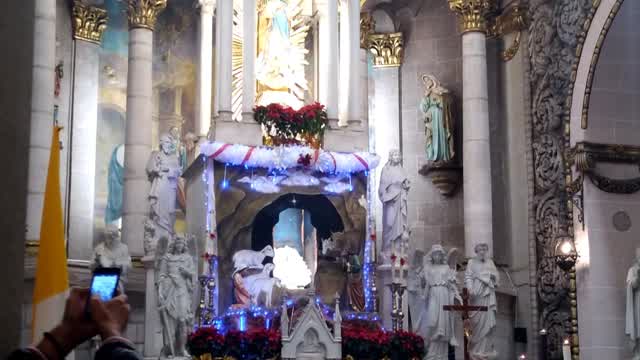 Interior de la Catedral Basílica de la Inmaculada5