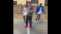 niggas dancing to epic MineCraft song