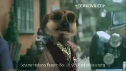 Meerkovo - New comparethemeerkat.com ad