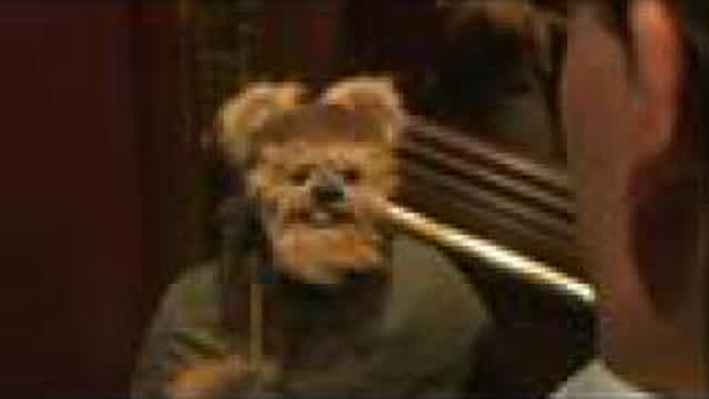 Ewok in an Elevator