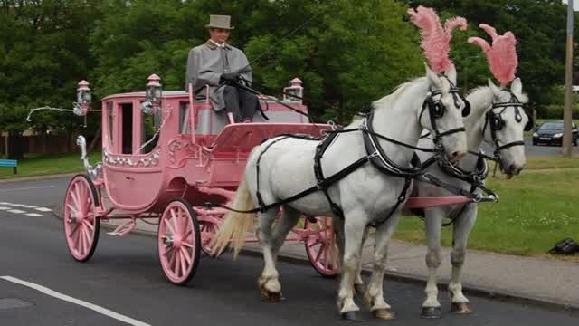 Cars VS. Horses