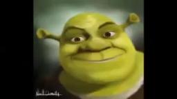 loquendo critica destructiva a Shrek la pelicula mas gay del universo (de Dr. Randy Bighead)