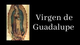 Virgen de Guadalupe