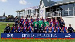 Crystal Palace 2018/19 season shit post compilation