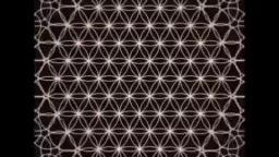 Flower of Life. -