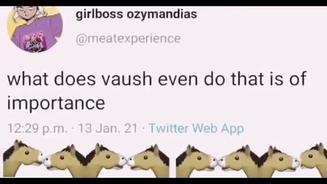 Vaush Horse video