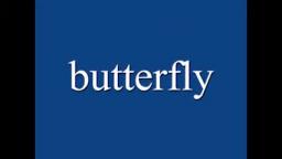 butterflyvideo.wmv