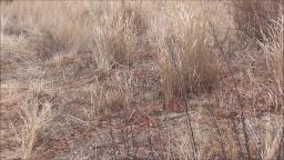 THE VIEWS OF OSPREY PARK LONG ISLAND IN MASTIC BEACH