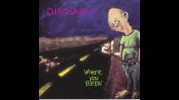 Dinosaur Jr. - What Else is New