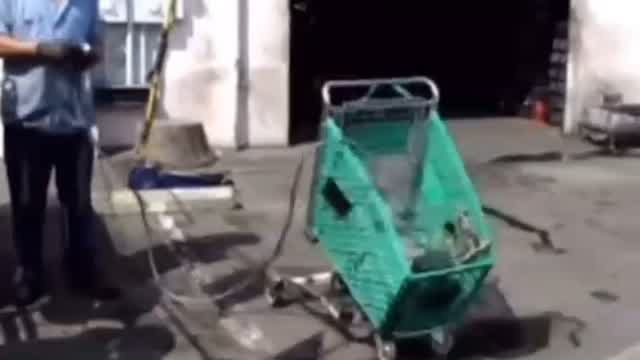 low rider shopping cart