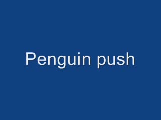 penguin push